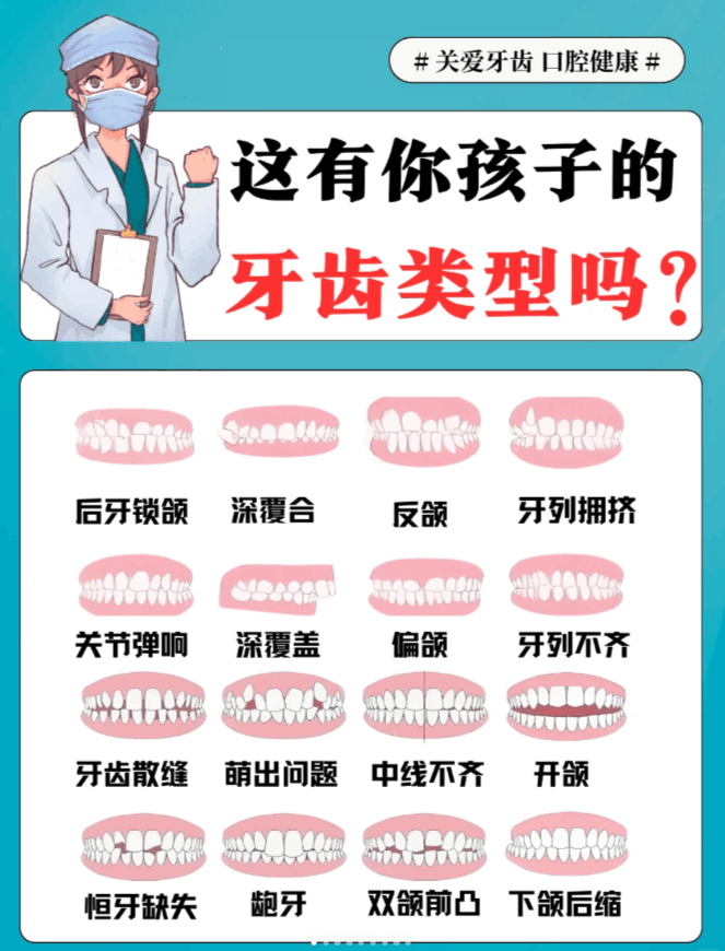 牙齿类型